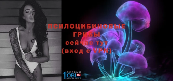 спайс Липки