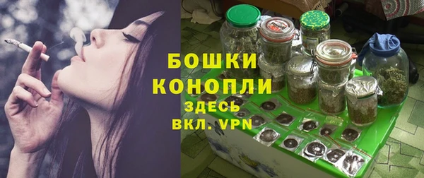 дживик Сосновый Бор