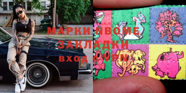 прущие грибы Сосновка