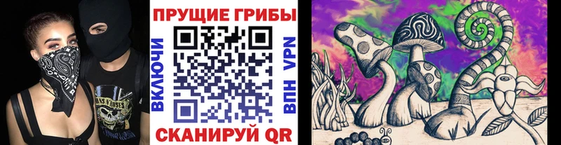 наркошоп  Нолинск  Псилоцибиновые грибы ЛСД 