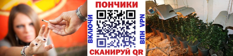 Марихуана сатива  купить наркотик  Нолинск 
